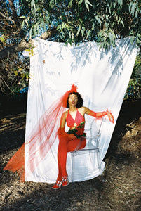 SCARLET BUTTERFLY