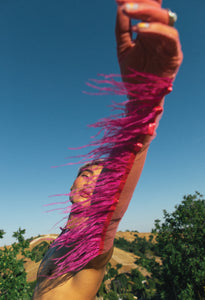 ROSE PLUME