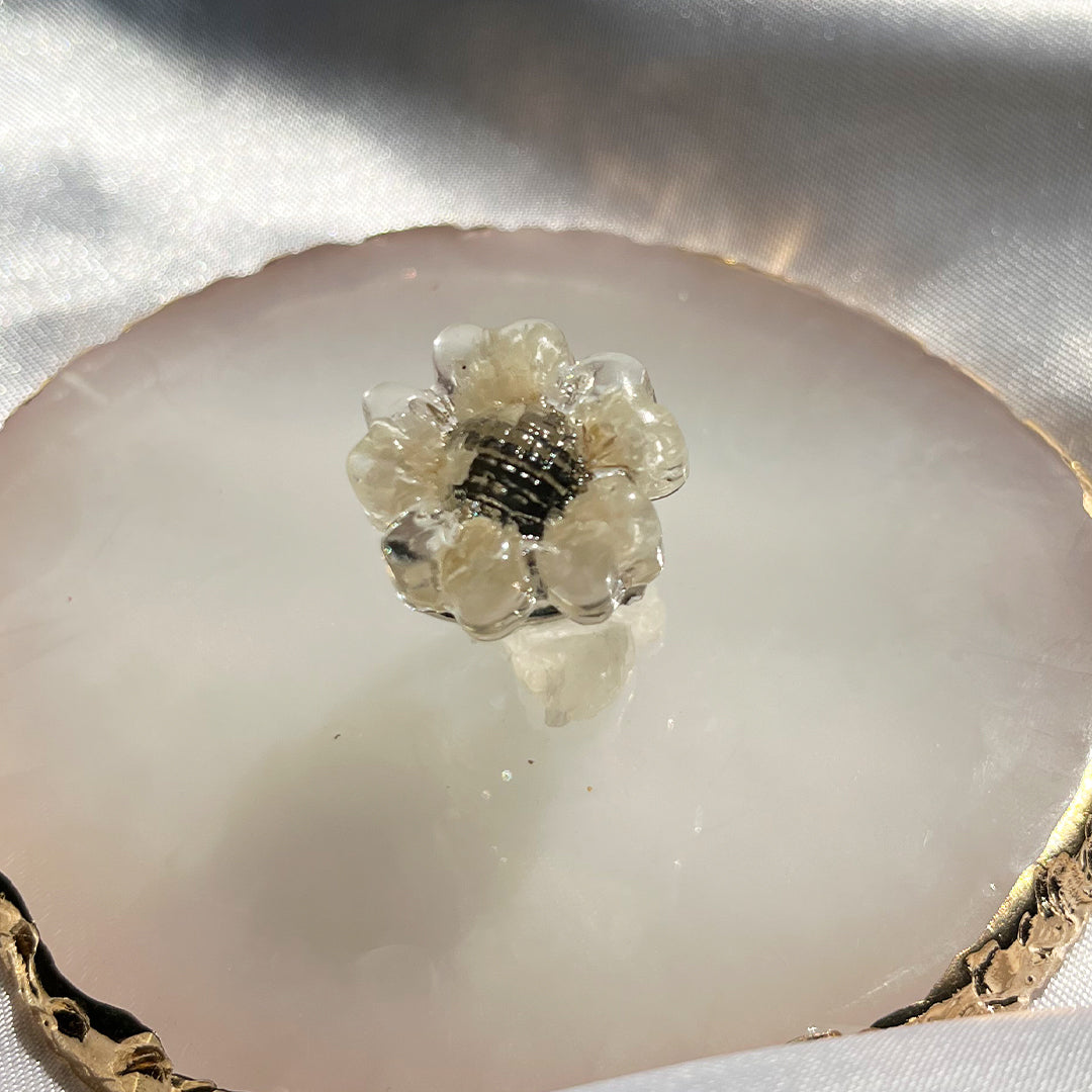 Babys Breath Flower Bomb