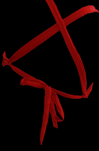 CRIMSON DREAM