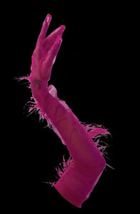 ROSE PLUME